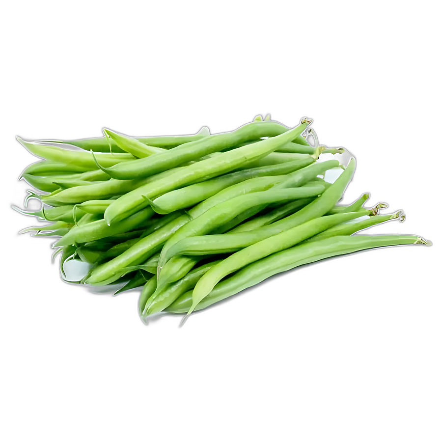 لوبیا سبز درجه یک کرامت فارم